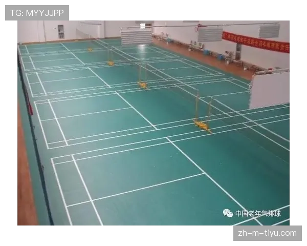 边线规则拆解：什么时候触线算出界，裁判如何准确判罚？