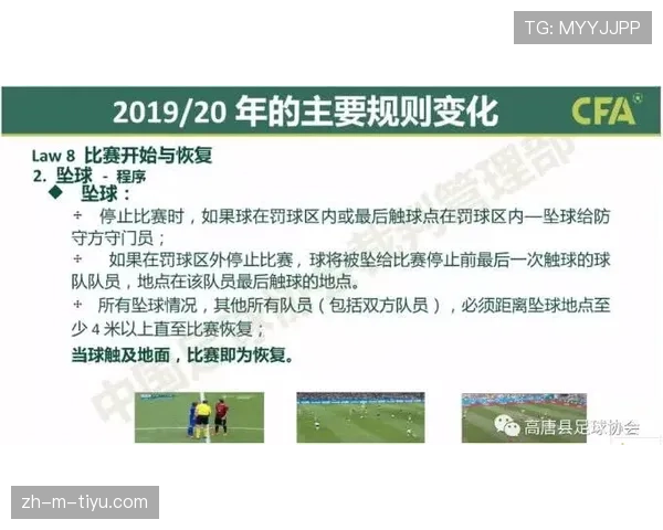 黄牌规则详解：判罚标准与累计影响机制解析